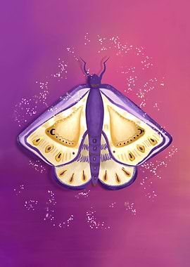 Whimsical Moth