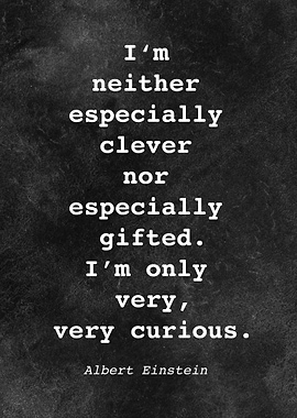 Albert Einstein Quote D055