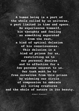 Albert Einstein Quote D059