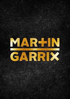 martin garrix