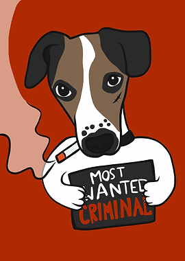 Jack Russell dog criminal