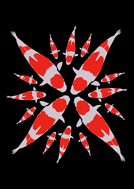Koi Fish Carp