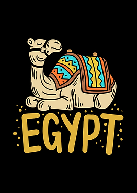 Egypt Egyptian Camel