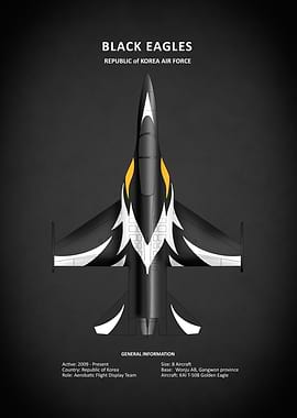 Black Eagles Aerobatics