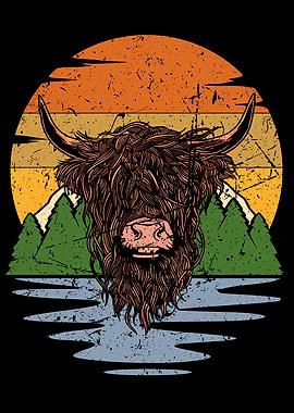 Scottish Highland Cattle