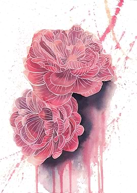 Abstract Peony Art