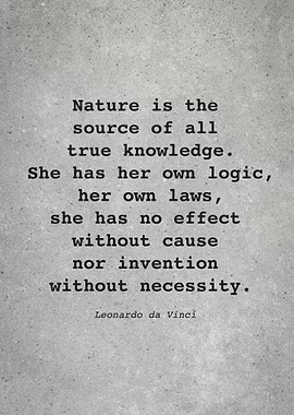 Leo da Vinci Quote L014