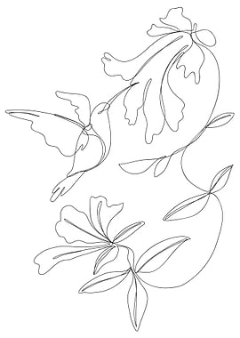 LineArt Animal Hummingbird