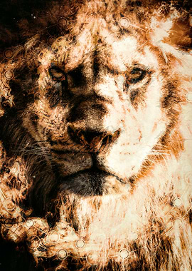 African Lion Fire Painting
