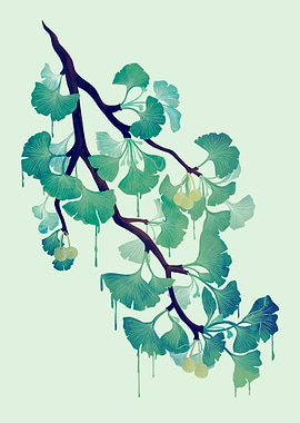 O Ginkgo in Green