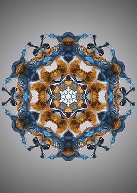 Mandala 23