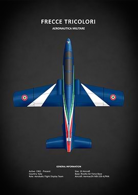 Frecce Tricolori Aerobatic