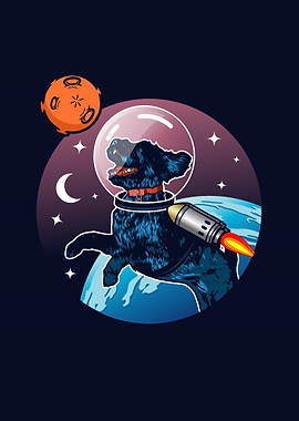 dog space