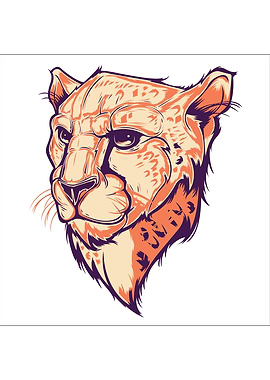 Leopard Illustration