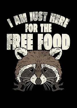 Raccoon Free Food