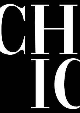 Chic Vogue Fashion Style