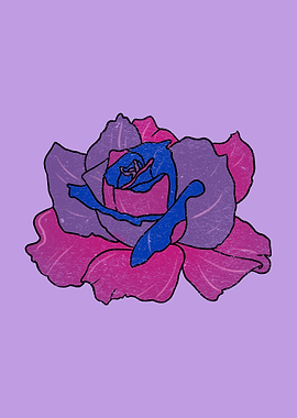 Rose Bisexual Pride