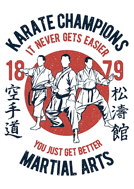 Karate Champions