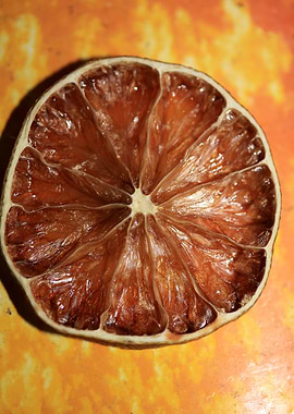 Dried lime slice close up