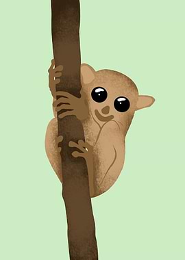 Tarsier