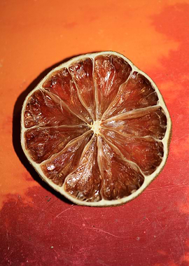 Dried lime slice close up