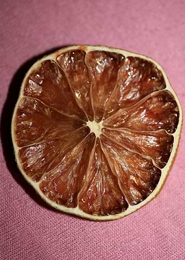 Dried lime slice close up