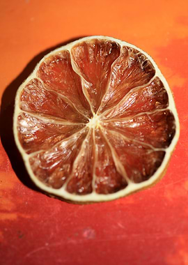 Dried lime slice close up