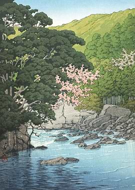 Yugashima Izu In Spring