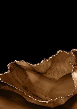 Brown Gold Agate Texture06