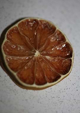 Dry lime fruit slice macro