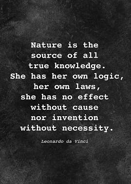 Leo da Vinci Quote D014