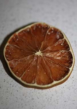Dry lime fruit slice macro