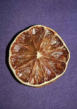 Dry lime fruit slice macro