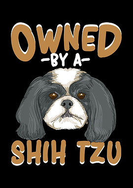 Owned By A Shih Tzu