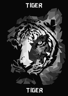 tiger populations ranged