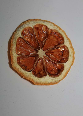Dried lemon slice macro