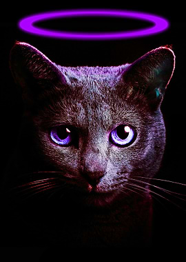 Black Cat Purple Neon