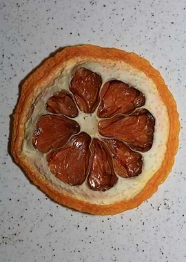 Dried lemon slice macro