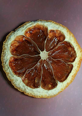 Dried lemon slice macro