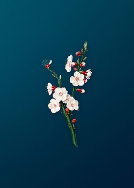 Vintage Apricot Flower Art