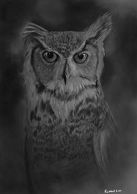 Owl digital art