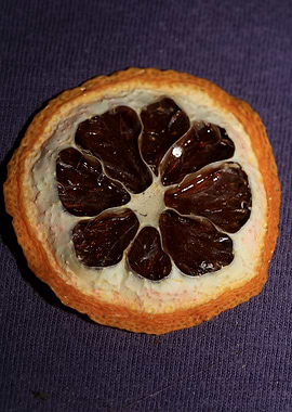 Dried lemon slice macro