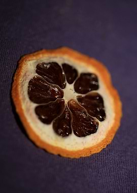 Dried lemon slice macro