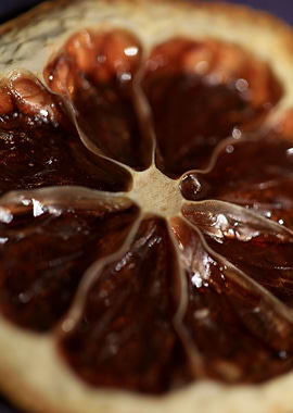 Dried lemon slice macro