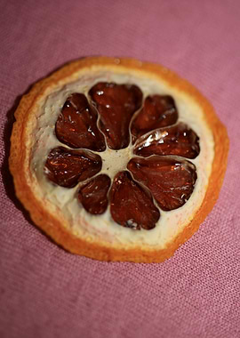 Dried lemon slice macro