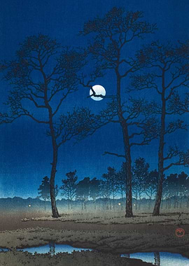 Moonlight Over Toyama