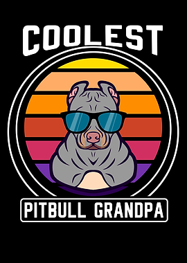 Pitbull Pitbull Dog