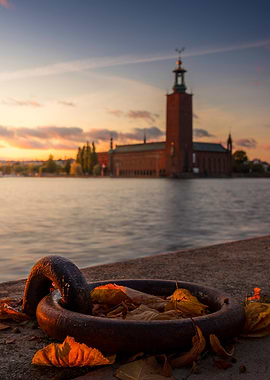 Stockholm Autumn