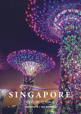 Singapore Coordinate Art