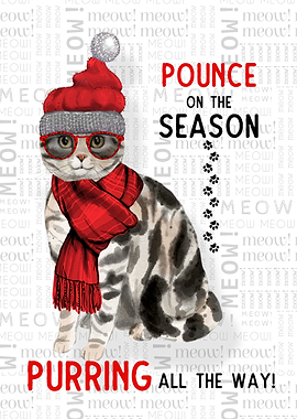 Shorthair Christmas Cat